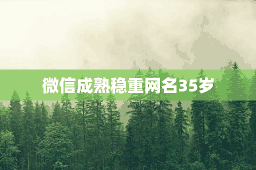 微信成熟稳重网名35岁(微信成熟稳重网名35岁女)